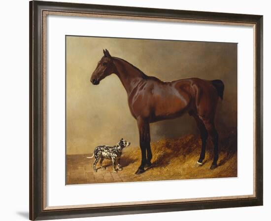 A Bay Hunter and a Spotted Dog in a Stable Interior-John Frederick Herring I-Framed Giclee Print