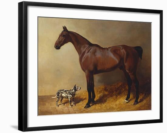 A Bay Hunter and a Spotted Dog in a Stable Interior-John Frederick Herring I-Framed Giclee Print