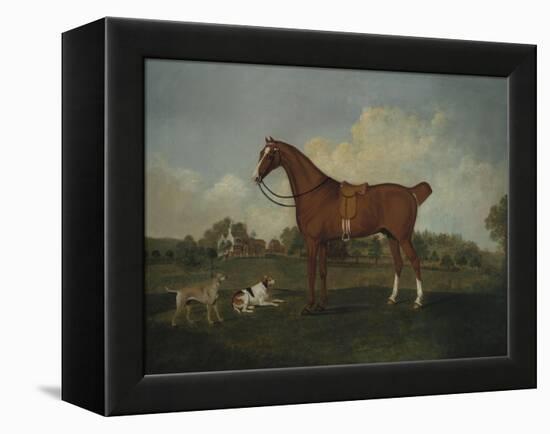 A Bay Hunter and Two Hounds in a Landscape, with a Mansion Beyond, 1779-Henry Thomas Alken-Framed Premier Image Canvas