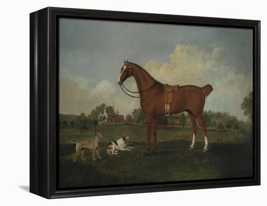 A Bay Hunter and Two Hounds in a Landscape, with a Mansion Beyond, 1779-Henry Thomas Alken-Framed Premier Image Canvas