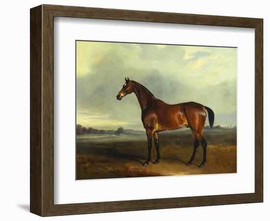 A Bay Hunter, the Property of the Hon F. Craven in a Landscape-John Ferneley, Sr-Framed Giclee Print