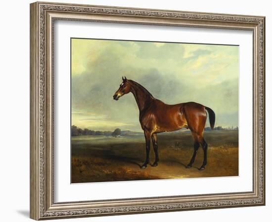 A Bay Hunter, the Property of the Hon F. Craven in a Landscape-John Ferneley, Sr-Framed Giclee Print