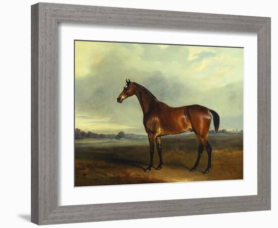 A Bay Hunter, the Property of the Hon F. Craven in a Landscape-John Ferneley, Sr-Framed Giclee Print