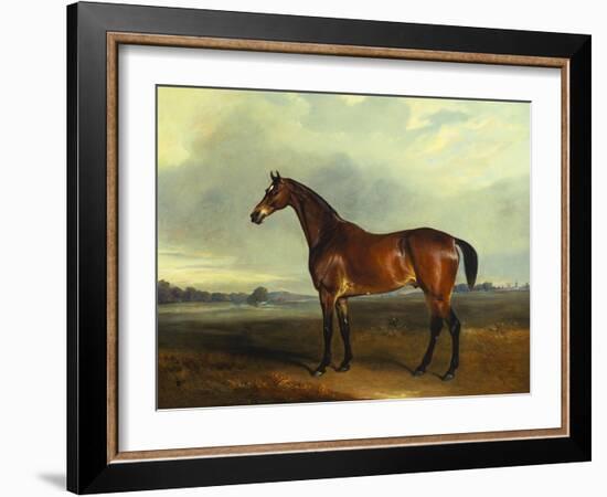 A Bay Hunter, the Property of the Hon F. Craven in a Landscape-John Ferneley, Sr-Framed Giclee Print