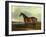 A Bay Hunter, the Property of the Hon F. Craven in a Landscape-John Ferneley, Sr-Framed Giclee Print