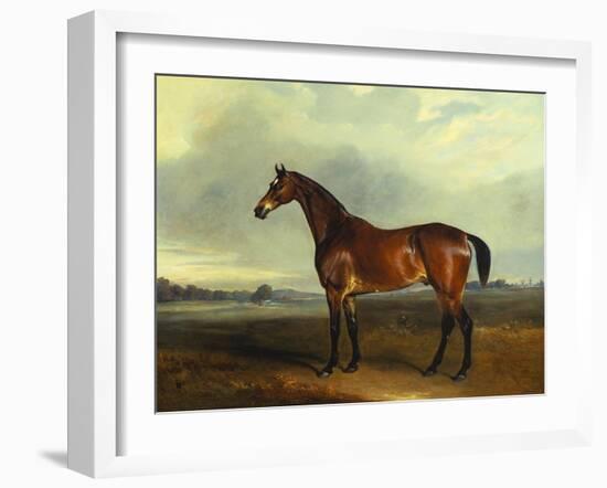 A Bay Hunter, the Property of the Hon F. Craven in a Landscape-John Ferneley, Sr-Framed Giclee Print