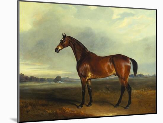 A Bay Hunter, the Property of the Hon F. Craven in a Landscape-John Ferneley, Sr-Mounted Giclee Print