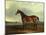 A Bay Hunter, the Property of the Hon F. Craven in a Landscape-John Ferneley, Sr-Mounted Giclee Print