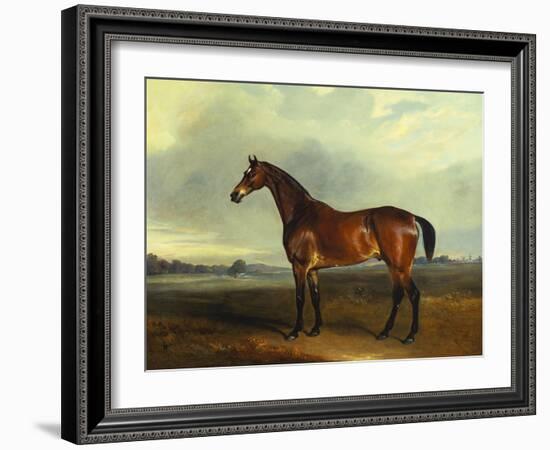 A Bay Hunter, the Property of the Hon F. Craven in a Landscape-John Ferneley, Sr-Framed Giclee Print