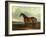 A Bay Hunter, the Property of the Hon F. Craven in a Landscape-John Ferneley, Sr-Framed Giclee Print