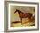 A Bay Racehorse in a Stall-John Frederick Herring I-Framed Giclee Print