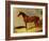 A Bay Racehorse in a Stall-John Frederick Herring I-Framed Giclee Print