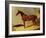 A Bay Racehorse in a Stall-John Frederick Herring I-Framed Giclee Print