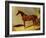 A Bay Racehorse in a Stall-John Frederick Herring I-Framed Giclee Print