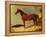 A Bay Racehorse in a Stall-John Frederick Herring I-Framed Premier Image Canvas