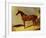 A Bay Racehorse in a Stall-John Frederick Herring I-Framed Giclee Print