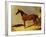 A Bay Racehorse in a Stall-John Frederick Herring I-Framed Giclee Print