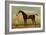 A Bay Racehorse with his Jockey on a Racecourse-Daniel Quigley-Framed Giclee Print