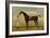 A Bay Racehorse with his Jockey on a Racecourse-Daniel Quigley-Framed Giclee Print