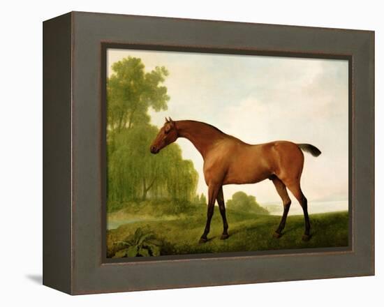 A Bay Thoroughbred in a Landscape, 1801-George Stubbs-Framed Premier Image Canvas