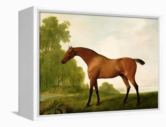 A Bay Thoroughbred in a Landscape, 1801-George Stubbs-Framed Premier Image Canvas