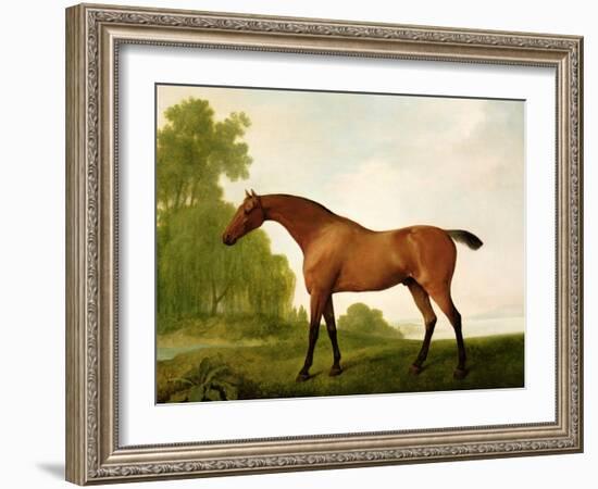 A Bay Thoroughbred in a Landscape, 1801-George Stubbs-Framed Giclee Print