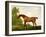 A Bay Thoroughbred in a Landscape, 1801-George Stubbs-Framed Giclee Print