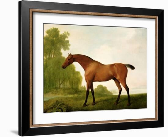 A Bay Thoroughbred in a Landscape, 1801-George Stubbs-Framed Giclee Print