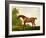 A Bay Thoroughbred in a Landscape, 1801-George Stubbs-Framed Giclee Print