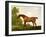 A Bay Thoroughbred in a Landscape, 1801-George Stubbs-Framed Giclee Print