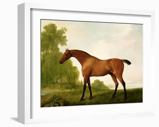 A Bay Thoroughbred in a Landscape, 1801-George Stubbs-Framed Giclee Print