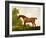 A Bay Thoroughbred in a Landscape, 1801-George Stubbs-Framed Giclee Print