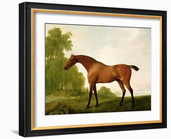 A Bay Thoroughbred in a Landscape, 1801-George Stubbs-Framed Giclee Print