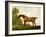 A Bay Thoroughbred in a Landscape, 1801-George Stubbs-Framed Giclee Print