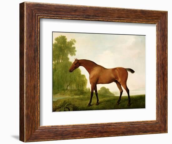 A Bay Thoroughbred in a Landscape, 1801-George Stubbs-Framed Giclee Print