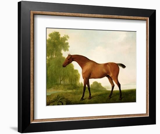 A Bay Thoroughbred in a Landscape, 1801-George Stubbs-Framed Giclee Print