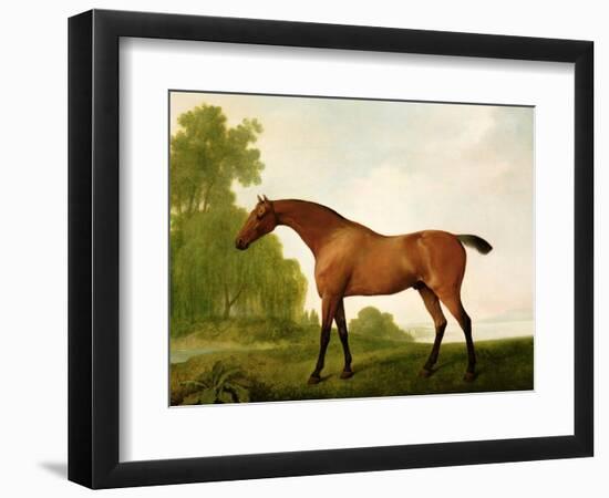 A Bay Thoroughbred in a Landscape, 1801-George Stubbs-Framed Giclee Print