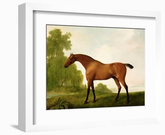 A Bay Thoroughbred in a Landscape, 1801-George Stubbs-Framed Giclee Print