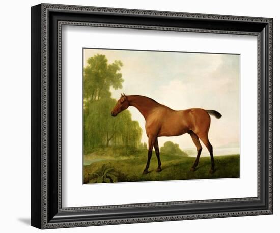 A Bay Thoroughbred in a Landscape, 1801-George Stubbs-Framed Giclee Print