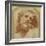 A Bearded Head, Looking Up (Possibly Laocoon)-Parmigianino-Framed Giclee Print