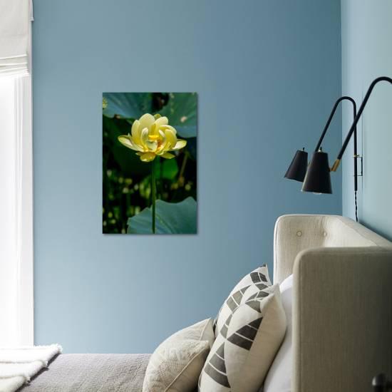A Beautiful Blooming Yellow Lotus Water Lily Pad Flower Photographic Print Richard Mcmillin Art Com