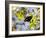 A Beautiful Butterfly in Iguazu National Park-Alex Saberi-Framed Photographic Print