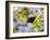 A Beautiful Butterfly in Iguazu National Park-Alex Saberi-Framed Photographic Print