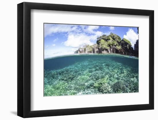 A Beautiful Coral Reef Grows Near a Set of Limestone Islands in Indonesia-Stocktrek Images-Framed Photographic Print