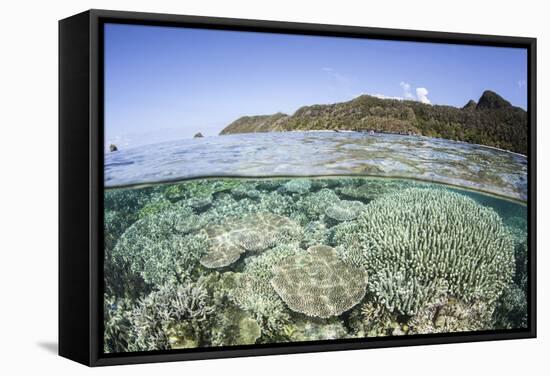 A Beautiful Coral Reef in Raja Ampat, Indonesia-Stocktrek Images-Framed Premier Image Canvas