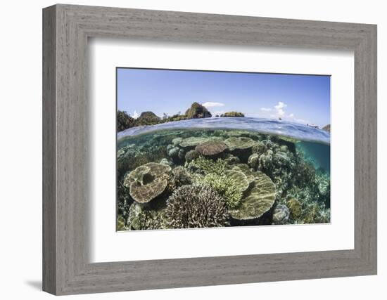 A Beautiful Coral Reef in Raja Ampat, Indonesia-Stocktrek Images-Framed Photographic Print