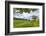 A Beautiful Day Along the Chiltern Walk, the Chilterns, Buckinghamshire, England-Charlie Harding-Framed Photographic Print