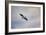 A Beautiful Day to Fly-Jai Johnson-Framed Giclee Print