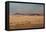 A Beautiful Landscape in Namib-Naukluft National Park, Taken from the Top of Elim Dune-Alex Saberi-Framed Premier Image Canvas