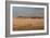 A Beautiful Landscape in Namib-Naukluft National Park, Taken from the Top of Elim Dune-Alex Saberi-Framed Photographic Print